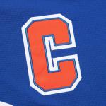 Mitchell and Ness Blue Line Wayne Gretzky Edmonton Oilers 1986 Jersey XL