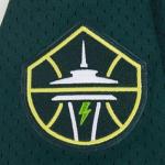 Pro Standard Big Boys WNBA Seattle Storm MESH Button Down MESH TOP Forest Green L