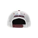 Colorado Avalanche NHL Officially Licensed Adjustable Snapback Hat Dakota Icon Team Color