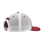 Colorado Avalanche NHL Officially Licensed Adjustable Snapback Hat Dakota Icon Team Color