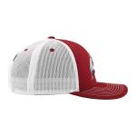 Colorado Avalanche NHL Officially Licensed Adjustable Snapback Hat Dakota Icon Team Color