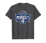 WNBA Washington Mystics Logo T-Shirt, Men, Dark Heather Grey, 4X-Large