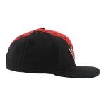 Ottawa Senators NHL Officially Licensed Adjustable Snapback Hat Flat Bill Z11 Retro Paintbrush