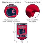 WinCraft Cleveland Baseball Heritage History Banner Pennant