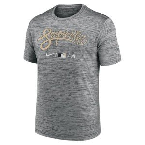 Nike Men's MLB City Connect Legend Practice Velocity T-Shirt (US, Alpha, Large, Regular, Regular, Grey, Arizona Diamondbacks)
