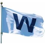 Time Roaming 3x5 Ft Chicago Wrigley Field W Win Polyester Flag with Brass Grommets