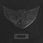 Pro Standard Womens WNBA Dallas Wings Classic 3BK S/S Boxy TEE Black 2XL