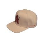 Mitchell & Ness Los Angeles Angels MLB City Connect Pro Crown Snapback Hat Cap, Cream