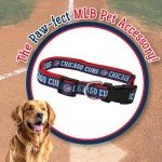 MLB Chicago Cubs Licensed PET COLLAR- Heavy-Duty, Strong, and Durable Dog Collar. Available in 29 Baseball Teams and 4 Sizes