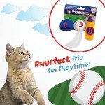 BEST PLUSH CAT TOY MLB BOSTON RED SOX Complete Set of 3 piece Cat Toys filled with Fresh Catnip. Includes: 1 Baseball Cap Cat Toy, 1 Baseball Cat Toy with Feathers & 1 Beer Bottle. Beautiful Team LOGO