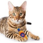 BEST PLUSH CAT TOY: MLB CHICAGO CUBS Complete Set of 3 piece Cat Toys filled with Fresh Catnip. Includes: 1 Baseball Cap Cat Toy, 1 Baseball Cat Toy with Feathers & 1 Beer Bottle. Beautiful Team LOGOS