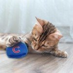 BEST PLUSH CAT TOY: MLB CHICAGO CUBS Complete Set of 3 piece Cat Toys filled with Fresh Catnip. Includes: 1 Baseball Cap Cat Toy, 1 Baseball Cat Toy with Feathers & 1 Beer Bottle. Beautiful Team LOGOS