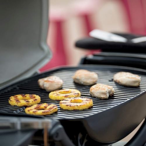 Weber Q2200 Gray Liquid Propane Grill for Fans