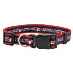 MLB PET Collar Cleveland Guardians Dog Collar, Large. Baseball Team Collar for Dogs & Cats. A Shiny & Colorful Dog & Cat Collar Licensed by The MLB
