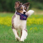 Pets First MLB Cleveland Guardians #1 Fan Toy. Best Sports Dog Toy with Double Stitched Trim and Tough Nylon Material Filled with Chewable Polyfil and Inner Squeaker