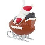 Hallmark NFL Atlanta Falcons Santa Football Sled Christmas Ornament, Multi Color (0001OSL2145)