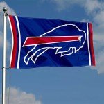 WinCraft Buffalo Bills Large 3x5 Flag