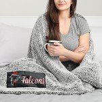 FOCO Atlanta Falcons NFL Big Logo Cloud Sherpa Blanket