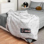 FOCO Atlanta Falcons NFL Big Logo Cloud Sherpa Blanket