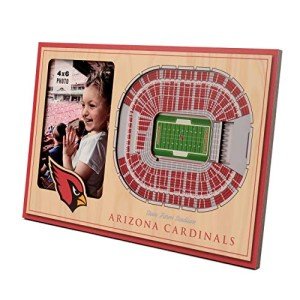 YouTheFan NFL Arizona Cardinals 3D StadiumViews Picture Frame