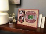 YouTheFan NFL Arizona Cardinals 3D StadiumViews Picture Frame
