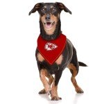NFL Kansas City Chiefs TIE Bandana, Large/X-Large. Dog Bandana Scarf Bib for Pet Cat Dog. The Ultimate Game-Day, Party Bandana