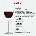 Merlot Wine Making Kit - 6 Gallon, 30 Bottles