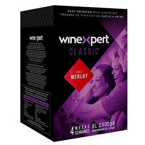 Chilean Merlot Wine from Expert World Vineyard