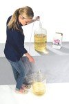 Wild Grapes DIY California Cabernet Wine Kit