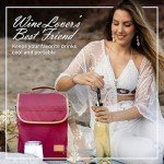 Insulated Wine Cooler Bag Gift Set with Tumblers