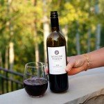 Missing Thorn Alcohol-Removed Malbec - Rich & Vegan