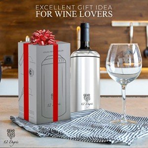 Stainless Steel Wine Chiller Set with Accessories