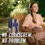 Bota Box Merlot - 3 Liters of Flavor