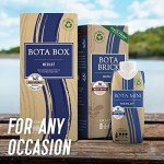 Bota Box Merlot - 3 Liters of Flavor