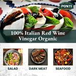1787 PONTI Italian Organic Red Wine Vinegar