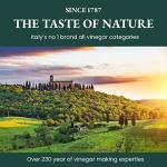 1787 PONTI Italian Organic Red Wine Vinegar