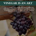 1787 PONTI Italian Organic Red Wine Vinegar