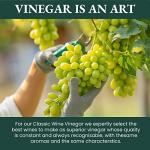 1787 PONTI Italian Organic Red Wine Vinegar