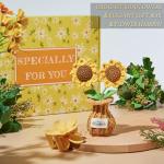 Sunshine Care Package - Thoughtful Gift for Her