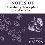 Don Miguel Gascon Malbec Red Wine, 750 mL