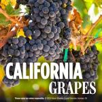 Robert Mondavi Bourbon Barrel Aged Cabernet Sauvignon 750mL