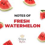 Stella Rosa Watermelon Rosé Wine, 750 mL