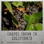 Unshackled Red Blend by The Prisoner, 750 mL