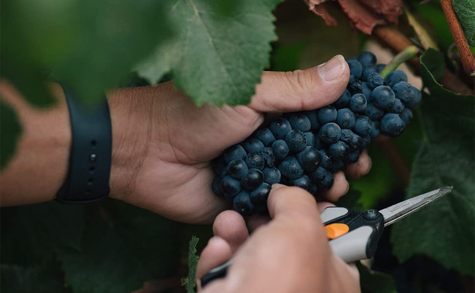 Globerati Tempranillo Red Wine 750 mL