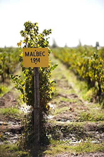 Catena Malbec Red Wine, 750 mL