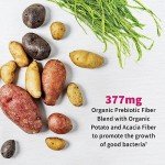 Daily Probiotic Supplement for Women's Digestive Health