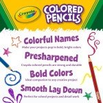 Colorful Crayola Pencils - 36-Pack for Adults