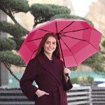 Windproof Travel Umbrella - Auto Open Close, Compact