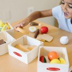 Melissa & Doug Wooden Food Groups Play Set