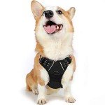 Rabbitgoo No-Pull Dog Harness with Leash Clips